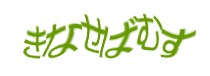Authentication image