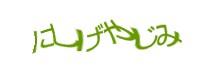 Authentication image